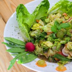 Apfel - Trauben - Salat mit Basilikum