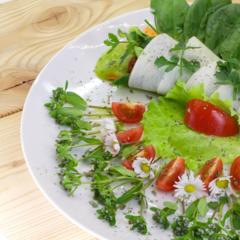 Ananas - Mango - Spinat - Petersilie - Rollen