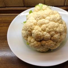 Blumenkohl