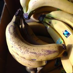 Banane
