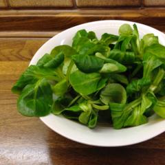 Feldsalat